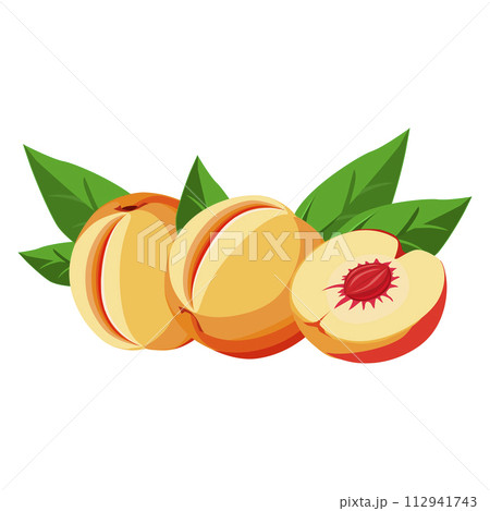 Healthy orange peaches on white background. Isolated vector in flat style. Summer fruit for design 112941743