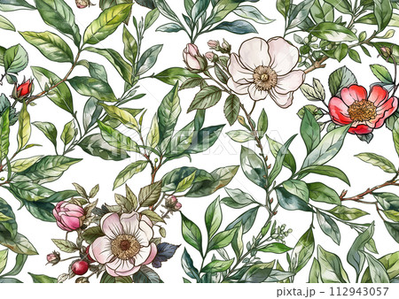 Green tea branch with leaves and wild rose flowers and berries. Green tea branch with leaves and wild rose flowers and berries. 112943057