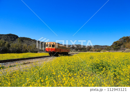 【千葉県市原市】小湊鉄道と菜の花の青空風景 【千葉県市原市】小湊鉄道と菜の花の青空風景 112943121