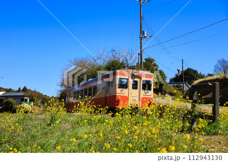 【千葉県大多喜町】いすみ鉄道と菜の花の青空風景 112943130