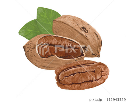 ペカンナッツ 112943529