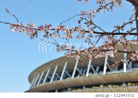 国立競技場前の桜 国立競技場前の桜 112943552