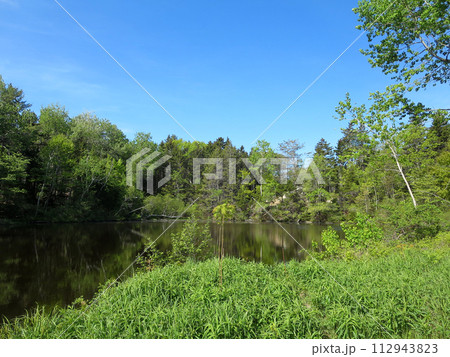 Ice Pond on Peaks Island 112943823