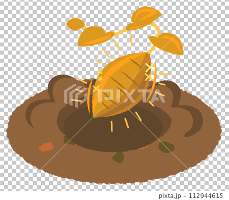 從田裡挖出來的金紅薯的插圖 從田裡挖出來的金紅薯的插圖 112944615