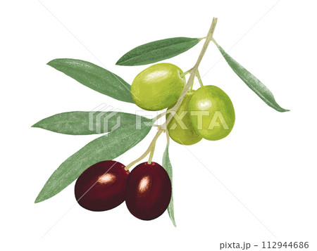 オリーブの実（完熟と半熟） 112944686