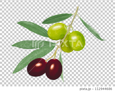 オリーブの実（完熟と半熟） 112944686