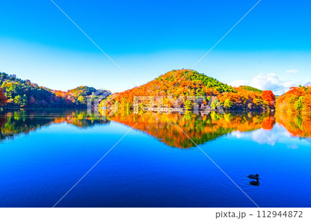 京都 宝ヶ池の紅葉 112944872