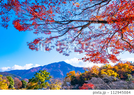 京都 宝ヶ池公園の紅葉と比叡山 112945084