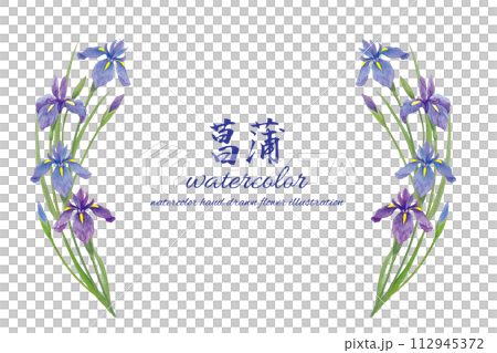 手書きのあやめの花のシンプルフレーム 112945372