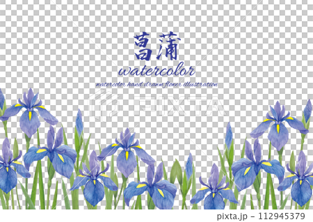 水彩手書きの青い菖蒲の花の背景のイラスト素材 [112945379] - PIXTA