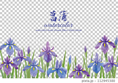 水彩手書きの菖蒲の花の背景 水彩手書きの菖蒲の花の背景 112945380