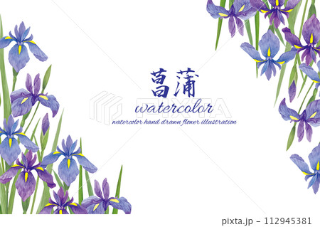 水彩手書きの菖蒲の花の背景のイラスト素材 [112945381] - PIXTA