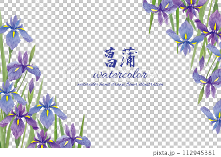 水彩手書きの菖蒲の花の背景のイラスト素材 [112945381] - PIXTA