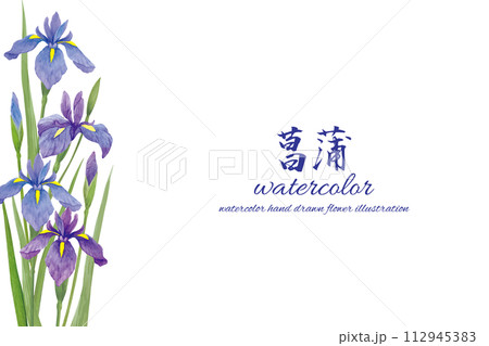 水彩手書きの菖蒲の花の背景 水彩手書きの菖蒲の花の背景 112945383