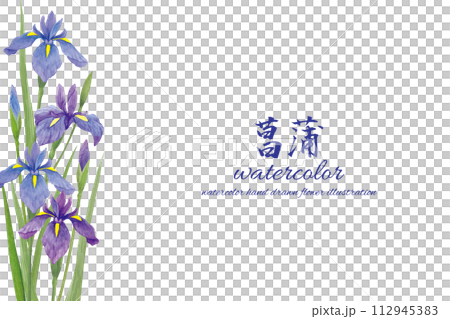 水彩手書きの菖蒲の花の背景 水彩手書きの菖蒲の花の背景 112945383