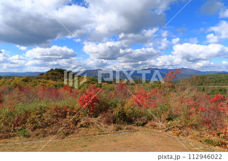 道の駅しもごうの景観 112946022