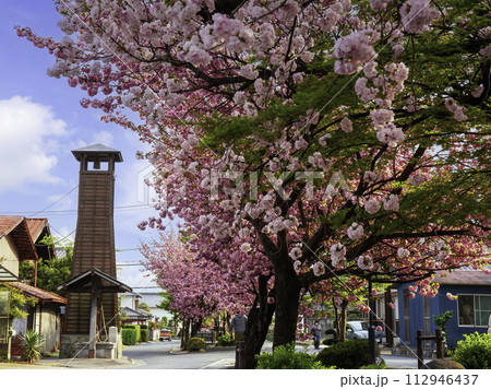 火の見櫓と八重桜 112946437