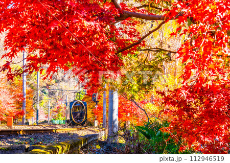 京都 八瀬の紅葉と叡山電鉄 京都 八瀬の紅葉と叡山電鉄 112946519