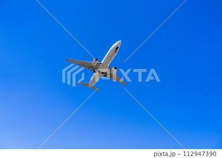 《飛行機》ボーイング Boeing 737NG > 737-800 112947390