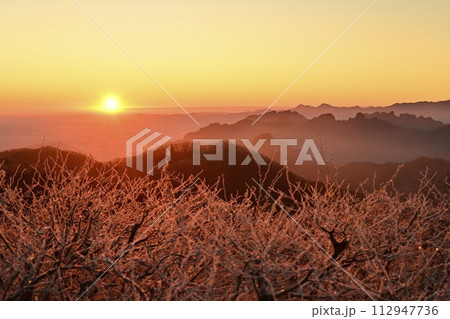 軽井沢旧碓氷峠見晴台から霧氷着く木々に日の出と妙義連峰 112947736