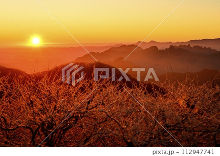 軽井沢旧碓氷峠見晴台から霧氷着く木々に日の出と妙義連峰 112947741