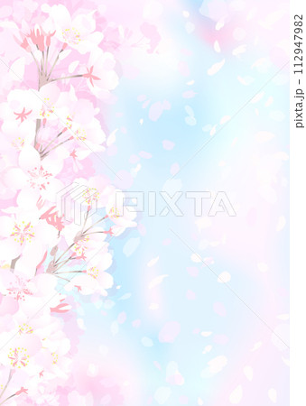 満開の桜と青空 112947982