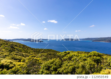 蒲生崎観光公園展望台からの見晴らし 蒲生崎観光公園展望台からの見晴らし 112950549
