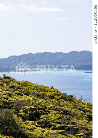 蒲生崎観光公園展望台からの見晴らし 112950568