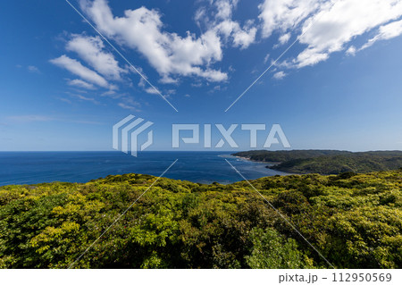 蒲生崎観光公園展望台からの見晴らし 112950569