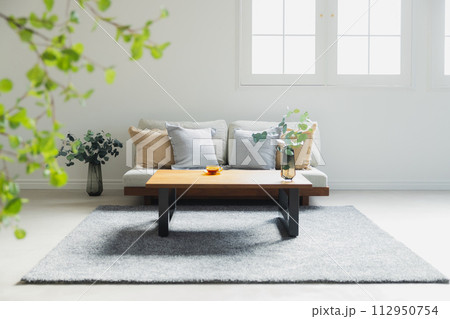 ソファのあるリビング 112950754