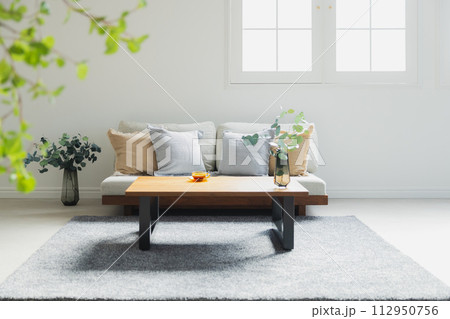 ソファのあるリビング 112950756