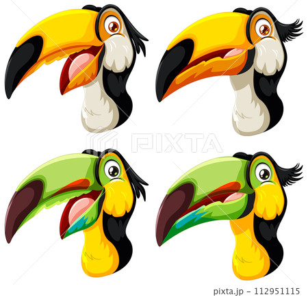 Colorful Toucan Faces Vector Set Colorful Toucan Faces Vector Set 112951115