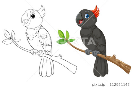 Colorful Parrots on Branches Vector Illustration Colorful Parrots on Branches Vector Illustration 112951145