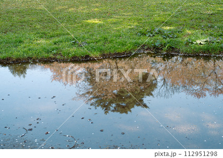 Cherry blossoms reflect on the pond at Kakunodate street in Akita, Japan 112951298