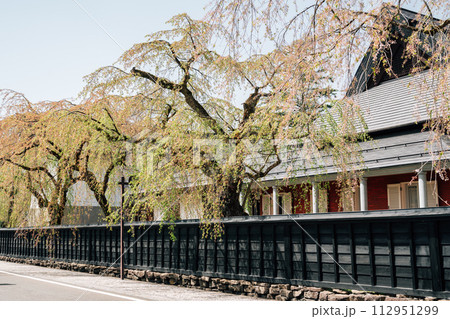 Spring of Kakunodate samurai residence street in Akita, Japan 112951299