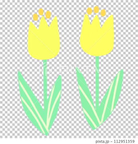 simple yellow tulip illustration 112951359