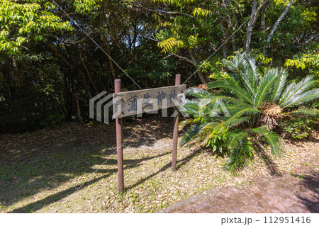 蒲生崎観光公園 蒲生崎観光公園 112951416