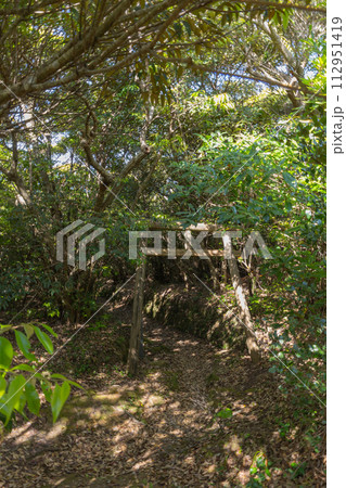 蒲生崎観光公園 112951419