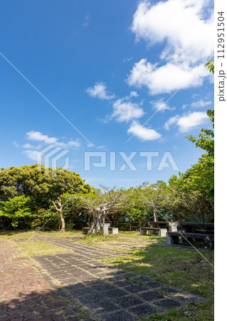 蒲生崎観光公園 112951504