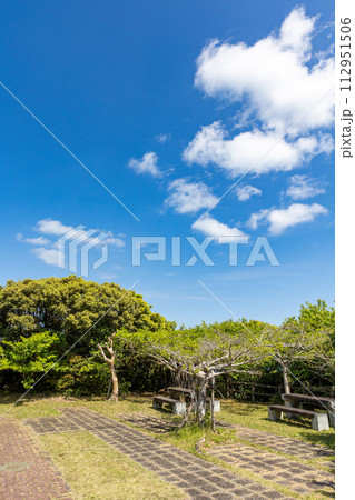 蒲生崎観光公園 蒲生崎観光公園 112951506