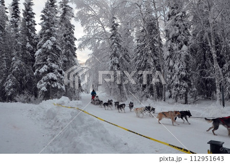 犬ぞり 犬ぞり 112951643
