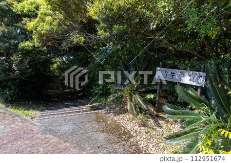 蒲生崎観光公園展望台からの見晴らし 蒲生崎観光公園展望台からの見晴らし 112951674