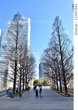 みなとみらいグランモール公園に通じる並木道 112951681