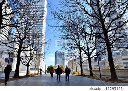 みなとみらいグランモール公園に通じる並木道 112951684