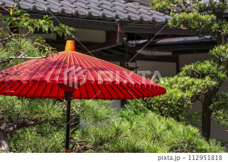 京都大原 三千院門前 桜の馬場に咲く彼岸花 京都大原 三千院門前 桜の馬場に咲く彼岸花 112951818