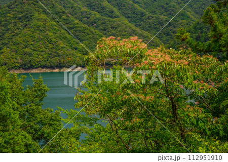 緑に包まれた宮ケ瀬ダム 112951910