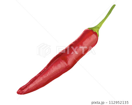 とうがらし（1本）のイラスト素材 [112952135] - PIXTA