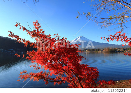 富士山と紅葉の景観 富士山と紅葉の景観 112952214