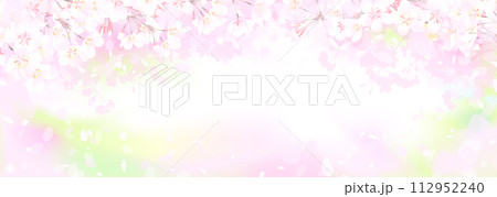 満開の桜と新緑 112952240