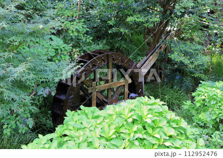 Scenes from the Japanese gardens at Hotel Chinzanso in Tokyo 112952476